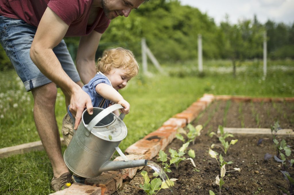 The Importance of Proper Watering Techniques in Gardening