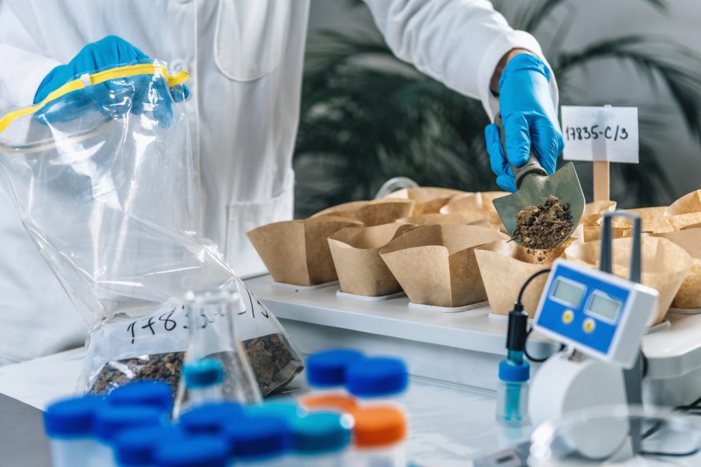 The Importance of Soil Testing for Your Garden The Importance of Soil Testing for Your Garden